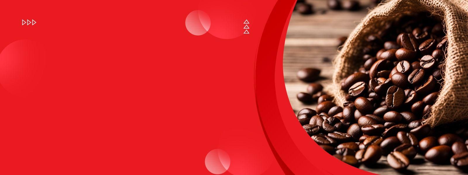 SK Logistics International