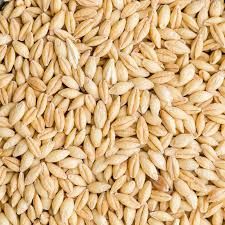 High quality Barley