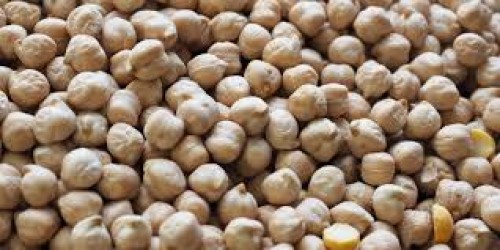 High Quality CHICKPEAS