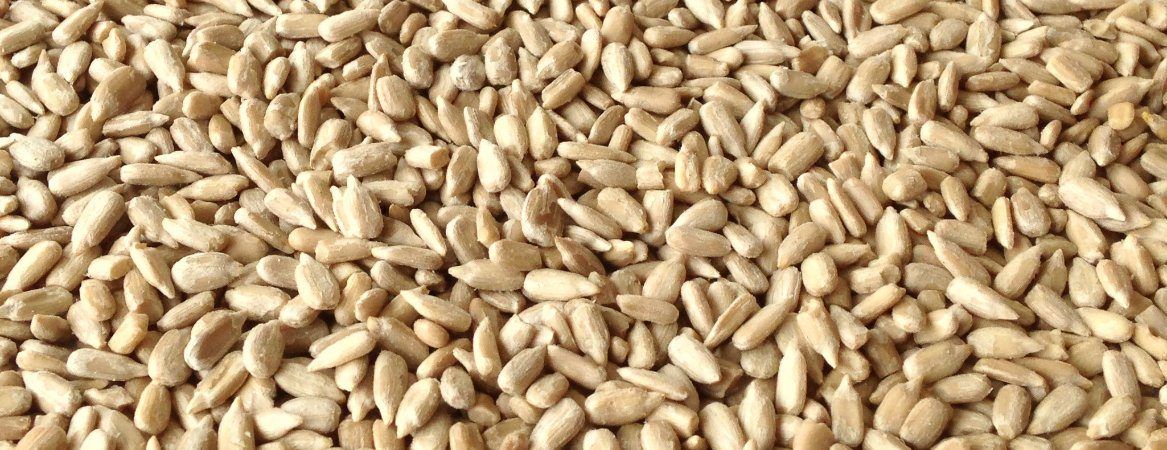 Wholesale Hulled sunflower kernels /Helianthus annuus at Cheapest, Good Quality Guaranteed