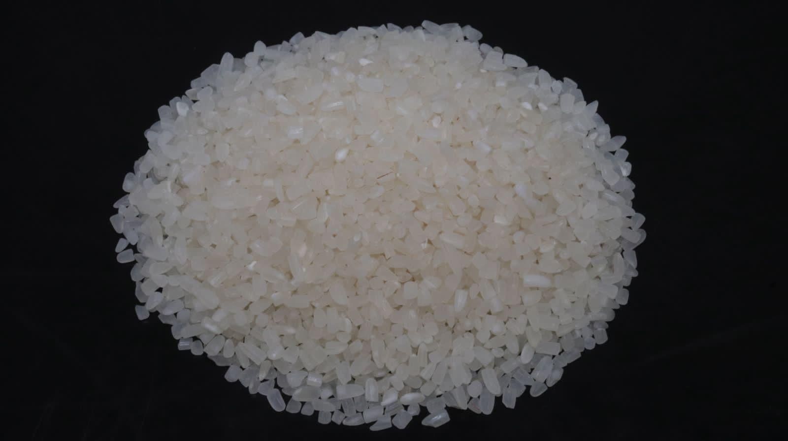 Wholesale Premium Fragrant Rice Direct from Mill in Cambodia at the cheapest price in market