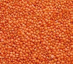 Hight Quality Red Lentils