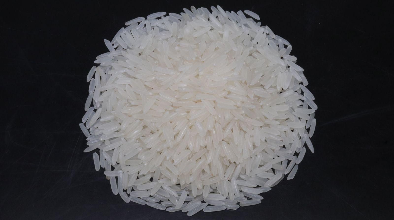 Wholesale Premium Fragrant Rice Direct from Mill in Cambodia at the cheapest price in market