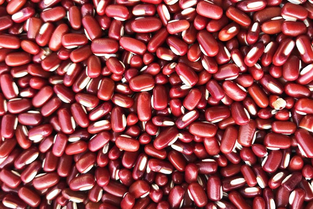 Wholesale Red Bamboo Beans from Brazil with good quality at the cheapest price in market