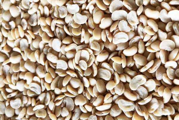 Wholesale Split Brown Eyed Beans from Brazil with good quality at the cheapest price in market