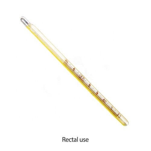 Factory Price High Quality Medical Red Liquid Glass Armpit Rectal Oral Clinical Mercury Thermometer for Sale