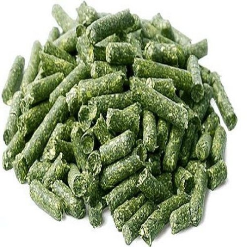 Wholesale Premium Grade A Alfalfa Hay from Canada & Spain to Buyers in Hong Kong and global