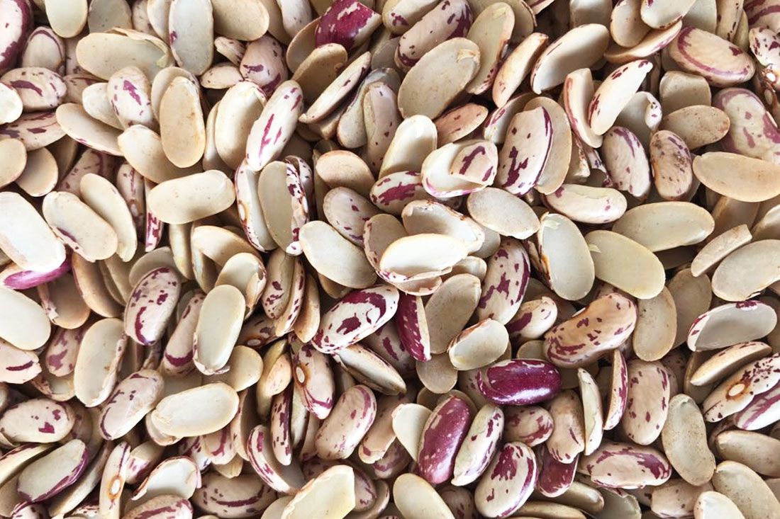 Wholesale Yellow Beans from Brazil with good quality at the cheapest price in market