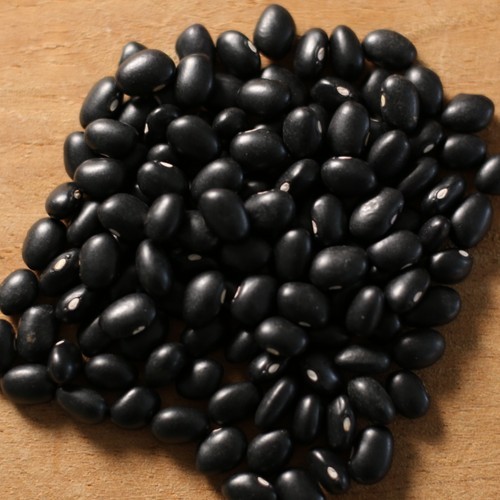 Wholesale Black Beans from Brazil with very cheap prices for genuine buyers globally