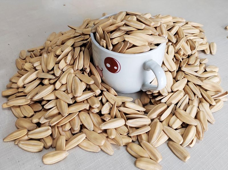 Wholesale Sunflower Seed Kernels Very Directly from Turkish factory with Cheap Price