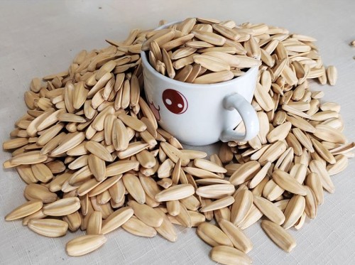 Wholesale Sunflower Seed Kernels Very Directly from Turkish factory with Cheap Price