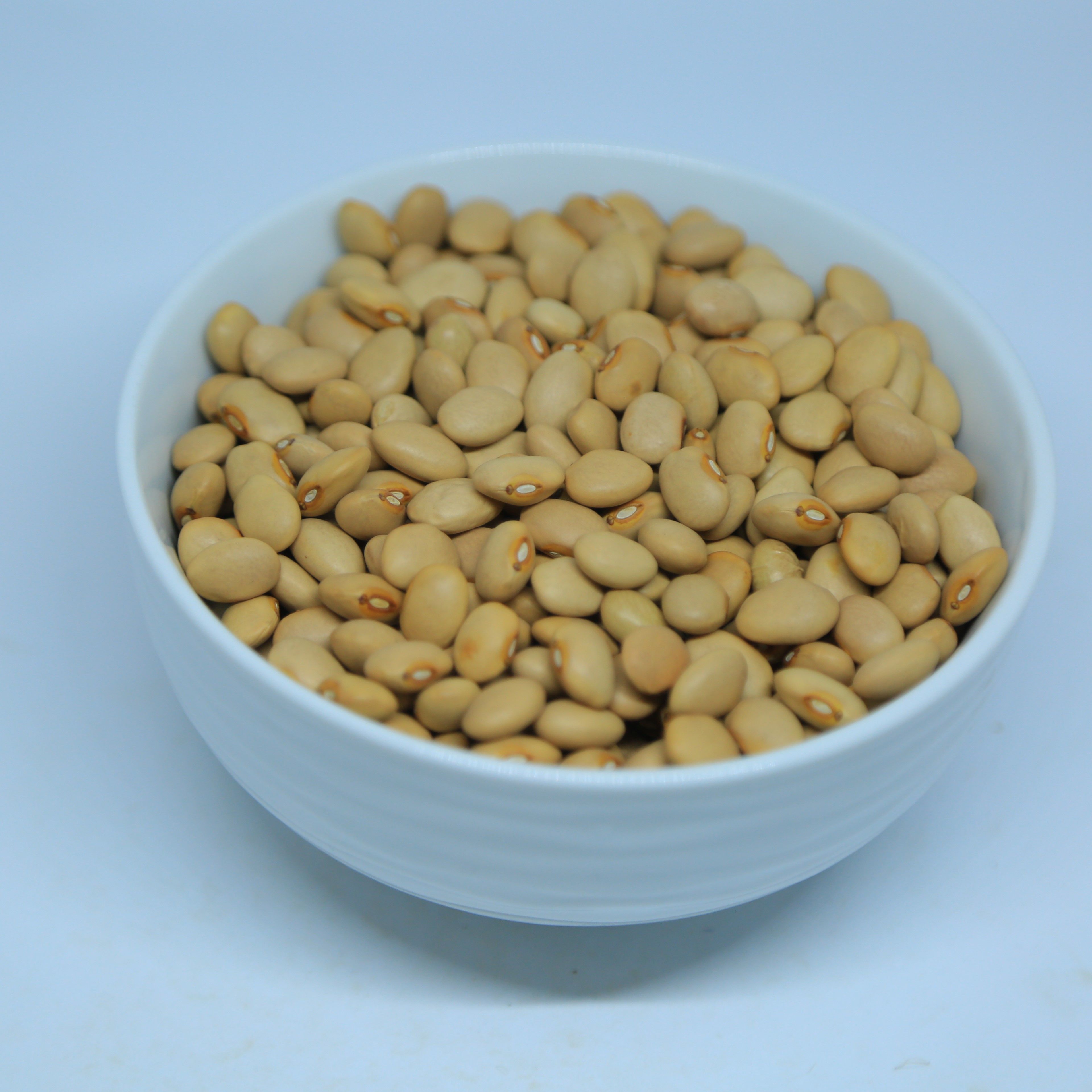 Wholesale Cream Beans from Ethiopia with good quality at the cheapest price in market
