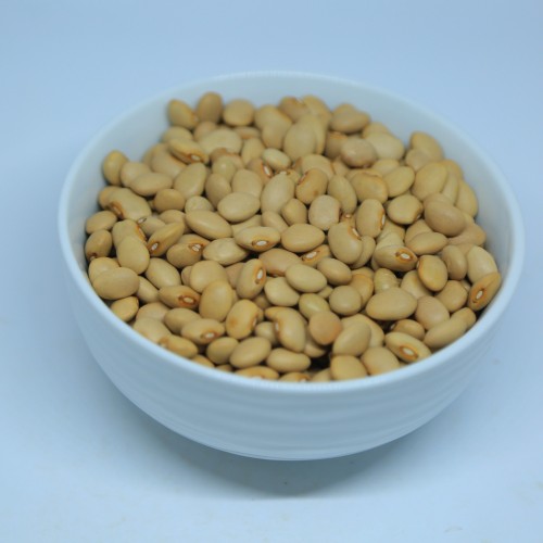 Wholesale Cream Beans from Ethiopia with good quality at the cheapest price in market