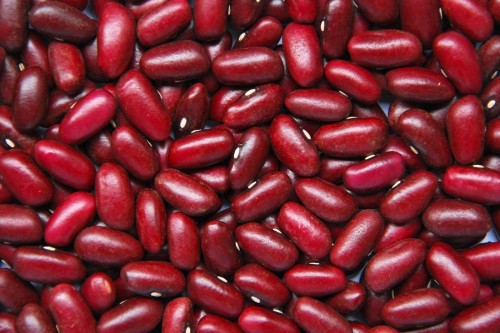 Wholesale Dark Red Kidney Beans from Brazil with good quality at the cheapest price in market