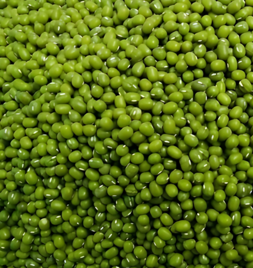 Wholesale Pigeon Peas from Ethiopia and Russia with good quality at the cheapest price in market