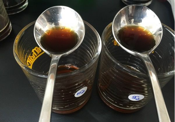 From Robusta Coffee Bean Cheap Price Material for Confectionery Foodstuff Beverage Industry Instant Coffee Bulk Wholesa