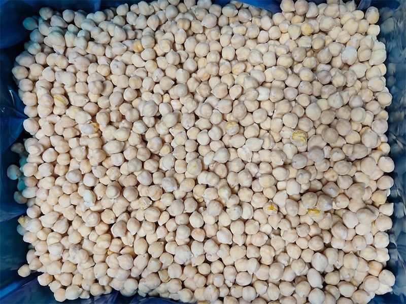 Wholesale Dessie Chickpeas from Ethiopia with good quality at the cheapest price in market
