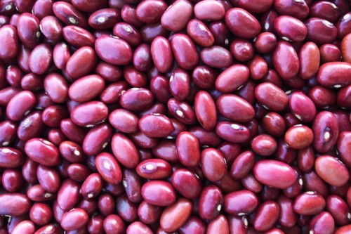 Wholesale Red Road Beans from Brazil at cheapest price in market