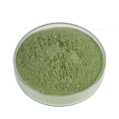 Wholesale Premium Grade A Alfalfa Hay from Canada & Spain to Buyers in Hong Kong and global