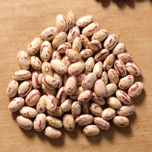 Wholesale Black Beans from Brazil with very cheap prices for genuine buyers globally