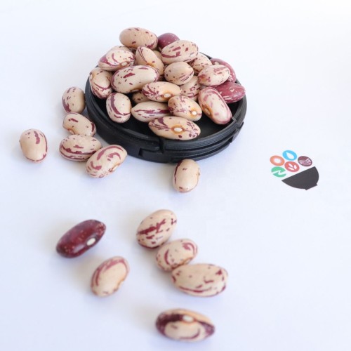 Wholesale Cheapest Price Cranberry Beans from Brazil for genuine buyers globally