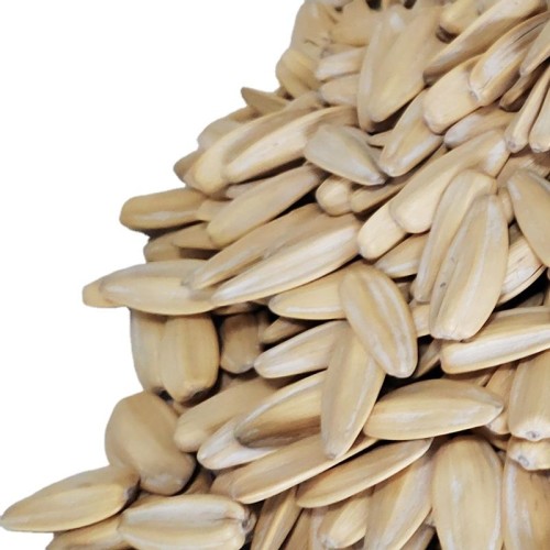 Wholesale Sunflower Seed Kernels Very Directly from Turkish factory with Cheap Price