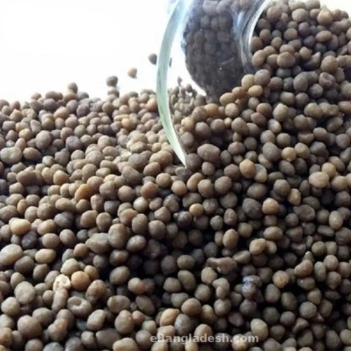 NPK 18-46-0 Yellow Brown DAP Diammonium Phosphate Granular for Agriculture