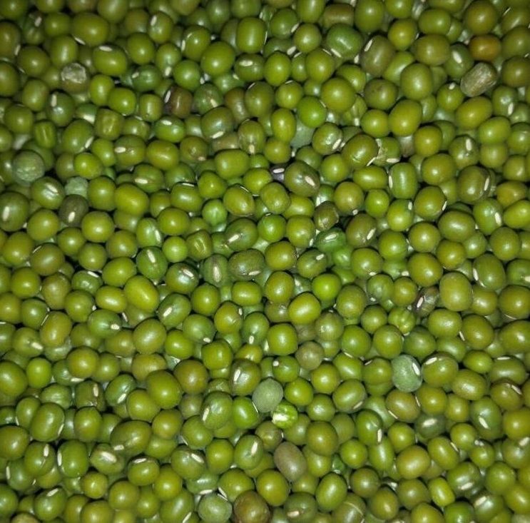 Wholesale Green Mung Beans from Brazil with good quality at the cheapest price in market