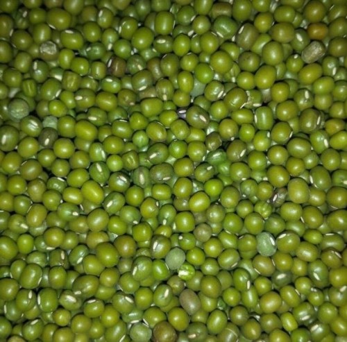 Wholesale Green Mung Beans from Brazil with good quality at the cheapest price in market