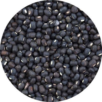 Wholesale Black Matpe Beans – Urad from Brazil at the cheapest price in market