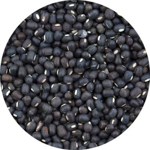 Wholesale Black Matpe Beans – Urad from Brazil at the cheapest price in market