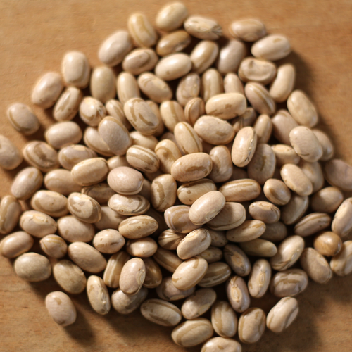 Cheapest Price Wholesale Carioca Beans from Brazil for genuine buyers globally
