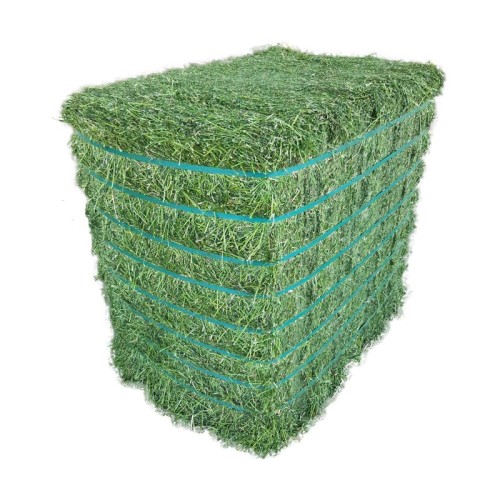 Wholesale Premium Grade A Alfalfa Hay from Canada & Spain to Buyers in Hong Kong and global