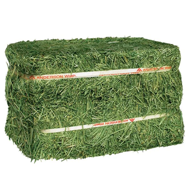 Wholesale Premium Grade A Alfalfa Hay from Canada & Spain to Buyers in Hong Kong and global