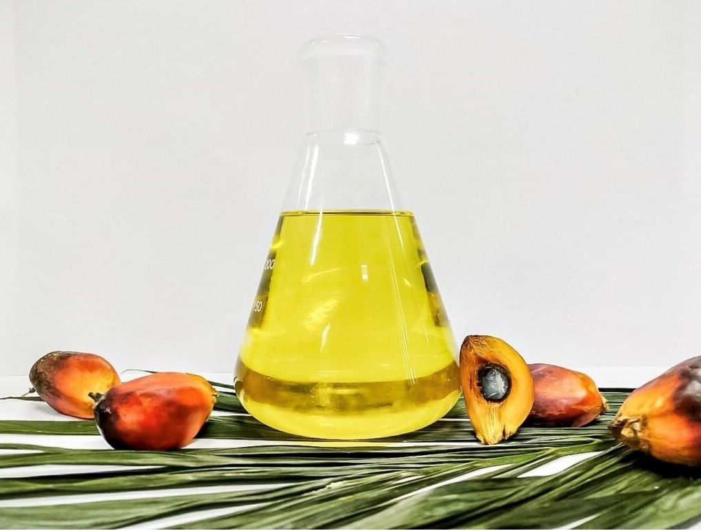 Wholesale Cheap Price Factory Direct Top Quality Blend Oil from Turkey, South Africa and Malaysia
