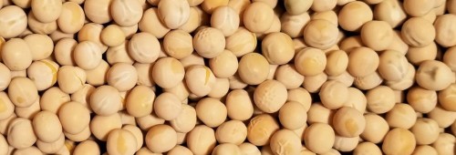 Cheapest Price Good Quality Yellow Peas Wholesale