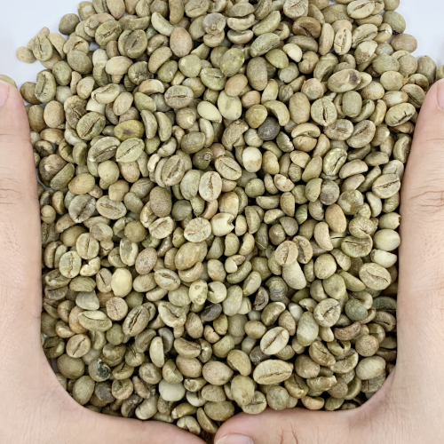 [Ready to Ship] Brazil Robusta Green Coffee Beans S18 Natural Process Whole Bean OEM/ODM Available