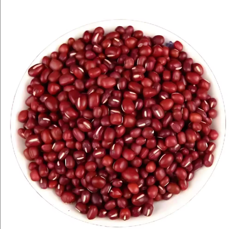 Wholesale Round Red Beans from Brazil with very cheap prices for genuine buyers globally