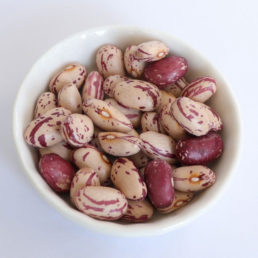 Wholesale Cheapest Price Cranberry Beans from Brazil for genuine buyers globally