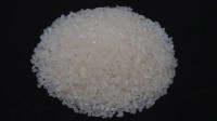 Wholesale Premium White Rice Directly from Mill in Cambodia at the cheapest price in market