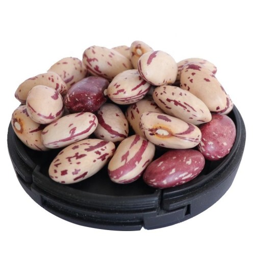 Wholesale Cheapest Price Cranberry Beans from Brazil for genuine buyers globally