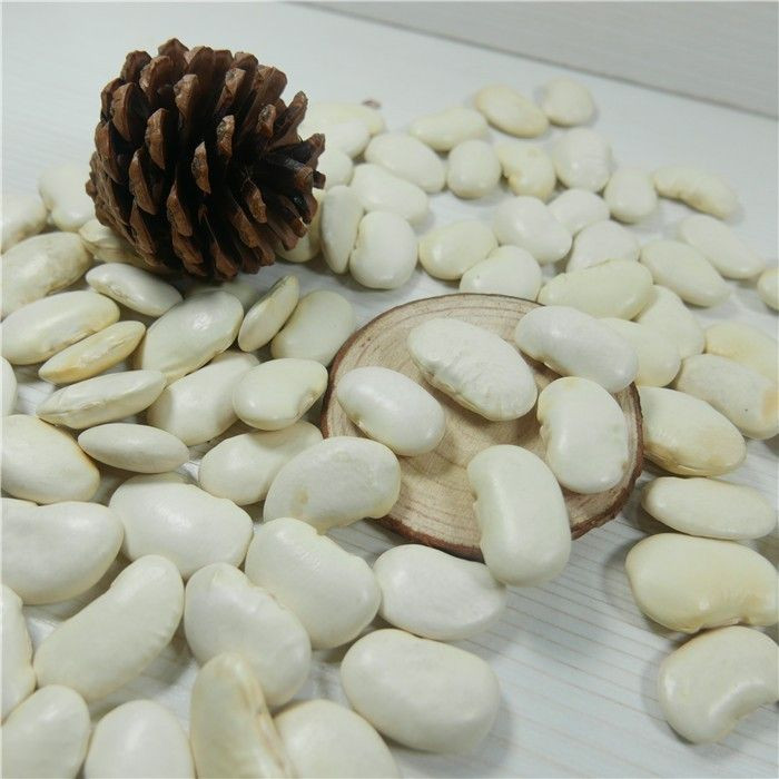 Wholesale Alubia Beans from Brazil at cheapest price in market