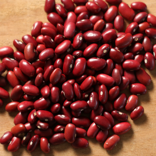 Wholesale Black Beans from Brazil with very cheap prices for genuine buyers globally