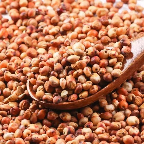 Wholesale High Quality Wheat Grain from Russia with good quality at the cheapest price in market