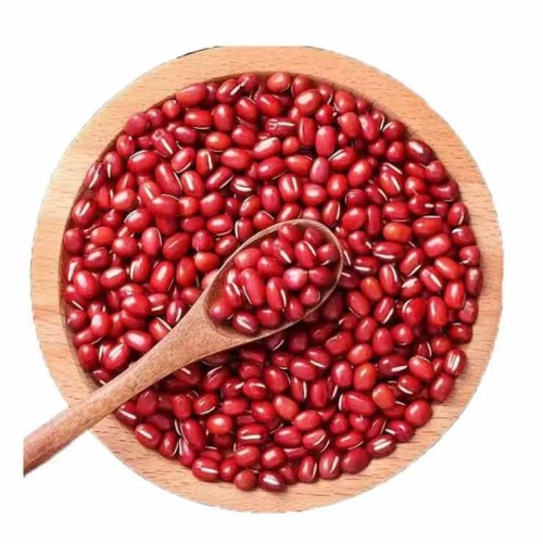 Wholesale Round Red Beans from Brazil with very cheap prices for genuine buyers globally