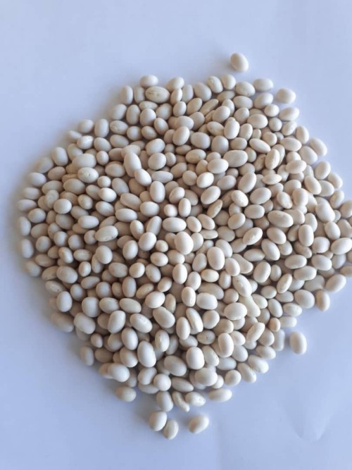 Wholesale  White Pea Beans from Ethiopia with good quality at the cheapest price in market