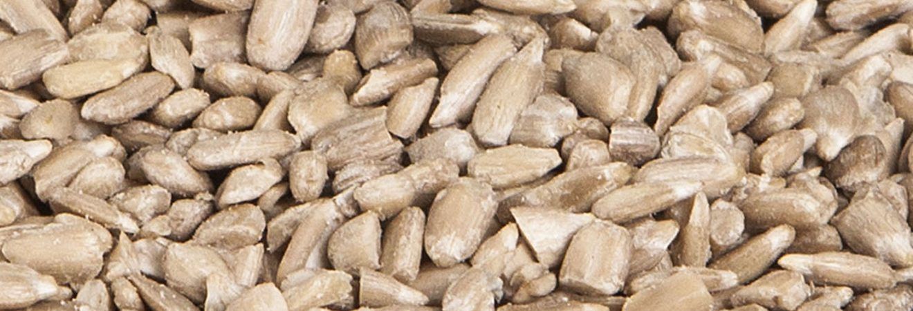 Wholesale Broken hulled sunflower kernel at Cheapest, Good Quality Guaranteed