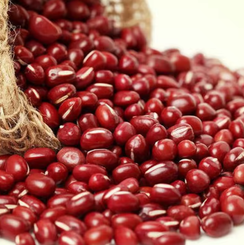 Wholesale Round Red Beans from Brazil with very cheap prices for genuine buyers globally
