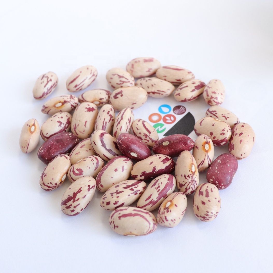 Wholesale Cheapest Price Cranberry Beans from Brazil for genuine buyers globally