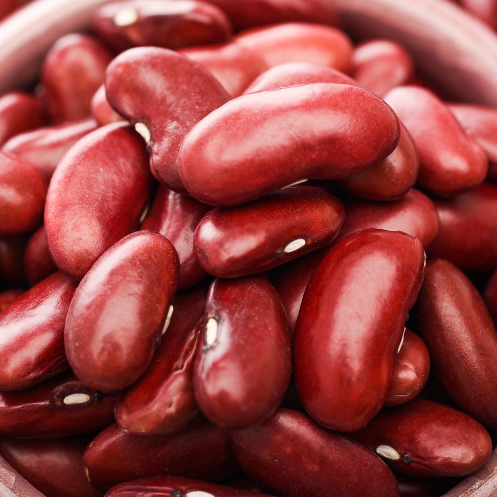 Wholesale Red Kidney Beans (South Type) from Ethiopia with good quality at the cheapest price in market